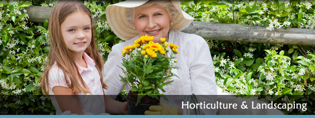 Horticulture & Landscaping